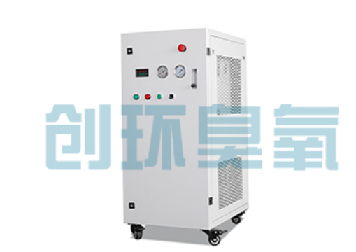 天津石斑鱼养殖水质调控完整指南：臭氧发生器配置与操作步骤