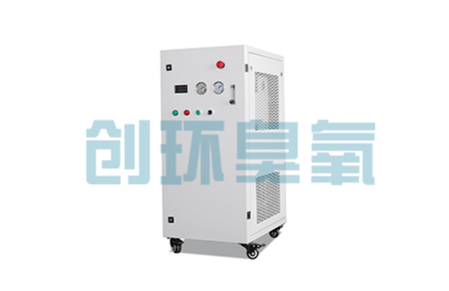 天津比传统换水更高效？臭氧发生器在石斑鱼养殖中的水质净化原理解析