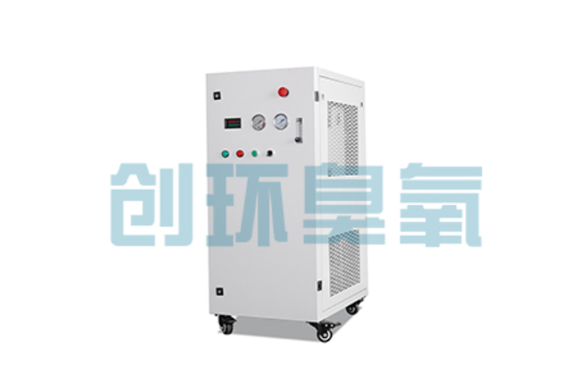 天津比传统换水更高效?臭氧发生器在石斑鱼养殖中的水质净化原理解析
